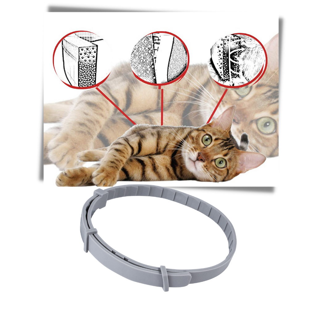 Anti-lopphalsband för husdjur - Ozerty
