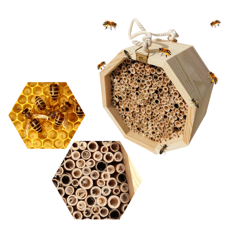Hexagonalt bihus i trä - Ozerty