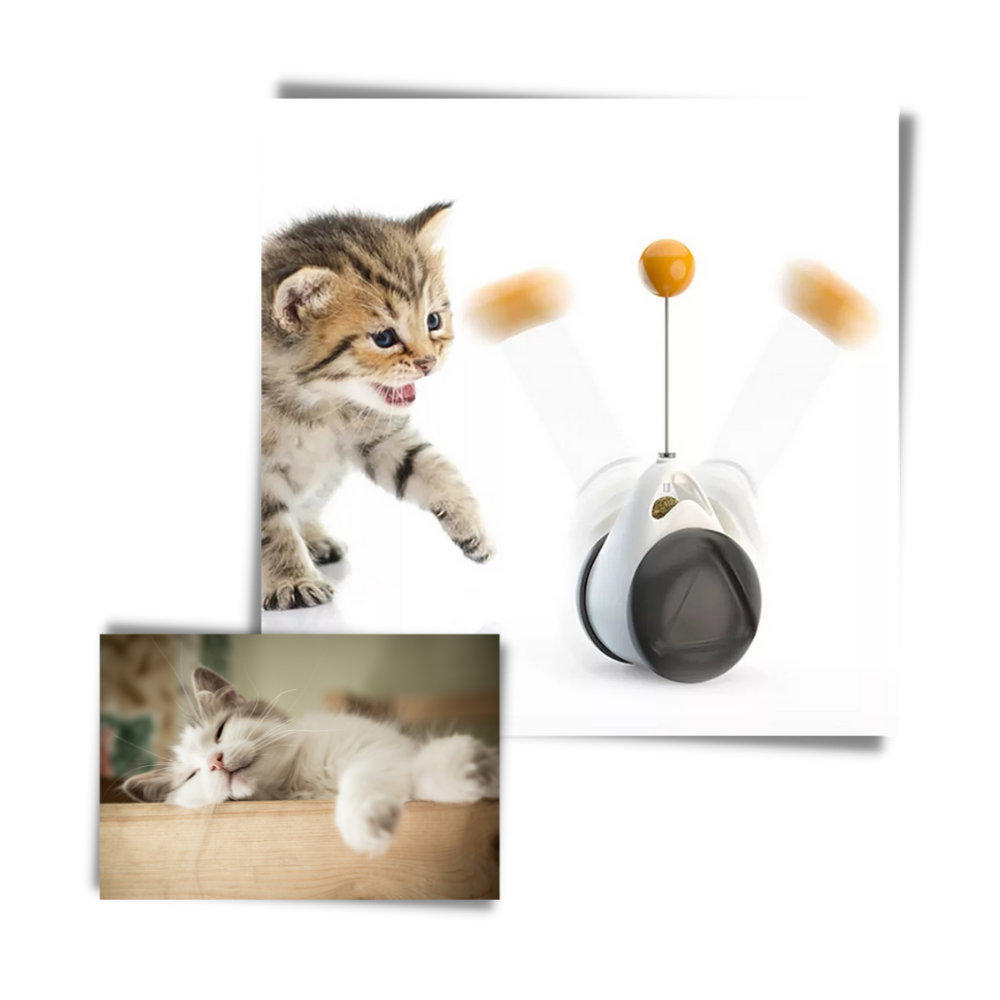 Interaktiv bolleksak för katter - Ozerty