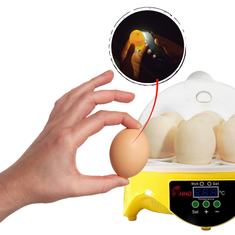 Mini automatisk äggkläckningsmaskin - Ozerty