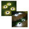 Solcellslampor tassar - Ozerty