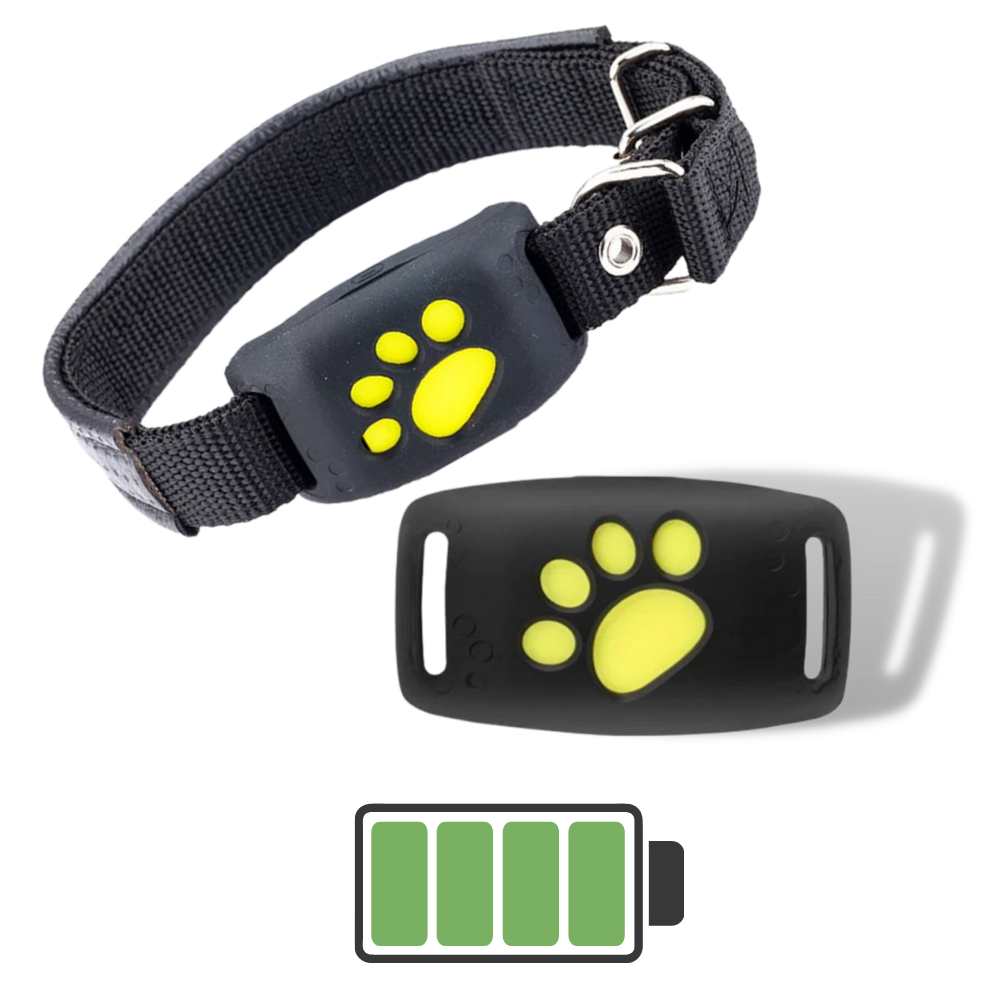 Halsband med GPS för husdjur - Ozerty