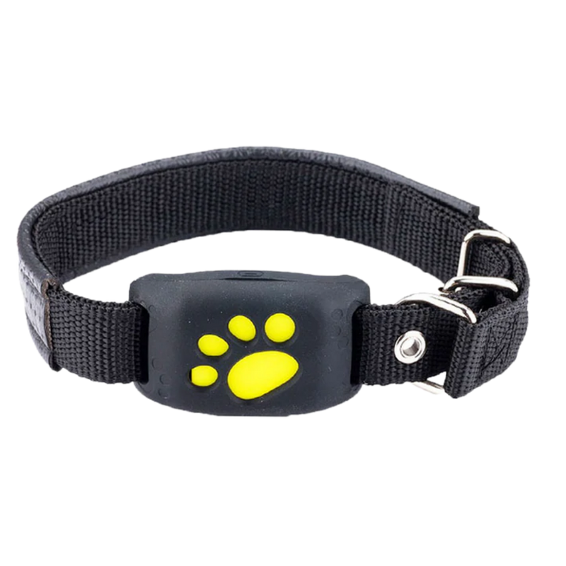 Halsband med GPS för husdjur - Ozerty