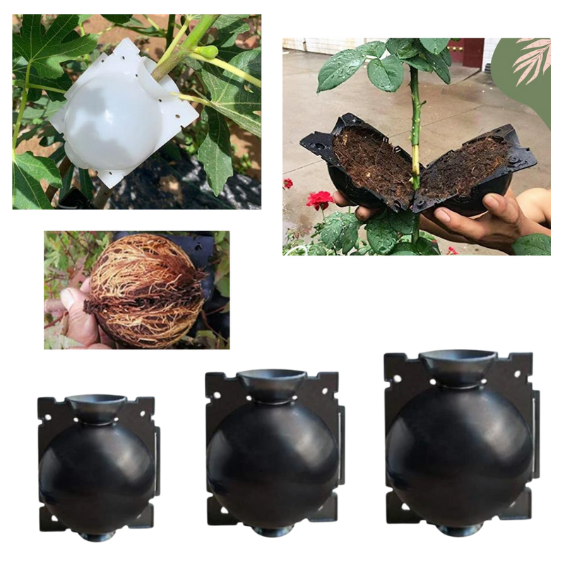 Paket med 3 växtlådor - Ozerty