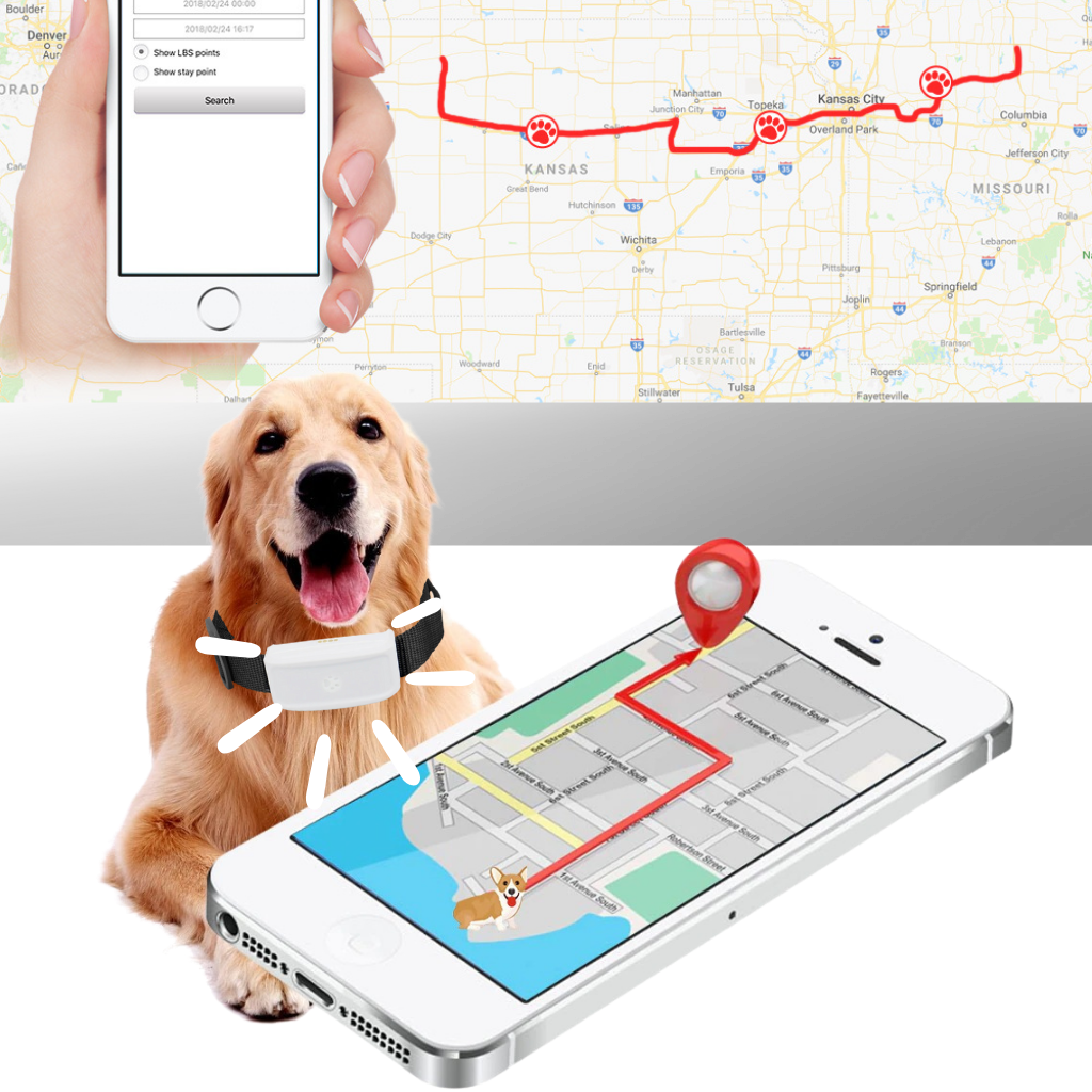 GPS-halsband för spårning av husdjur - Ozerty