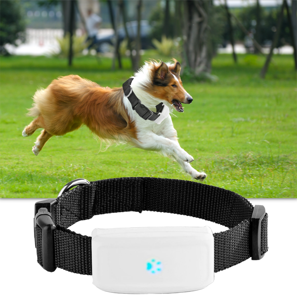 GPS-halsband för spårning av husdjur - Ozerty
