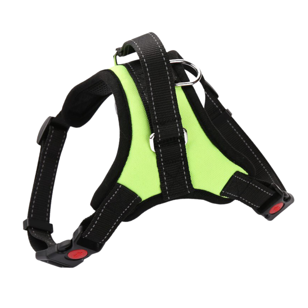 Reflective adjustable saddle dog harness 