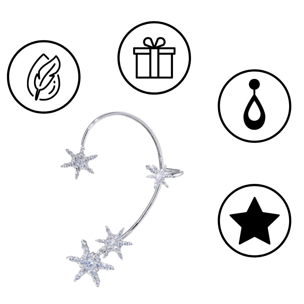 Zirconia clip-on örhängen - Ozerty