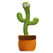 Talande kaktuspapegoja - Ozerty