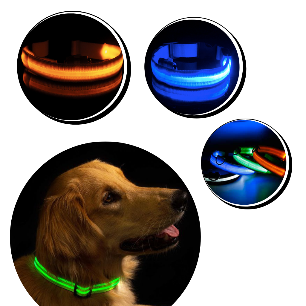 USB-laddningsbart LED-ljushalsband för husdjur - Ozerty