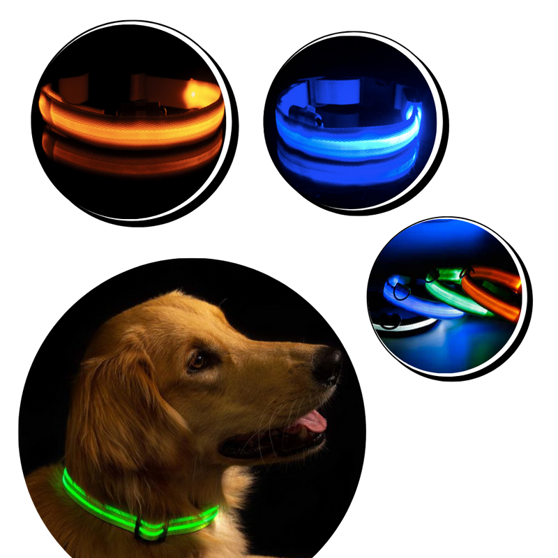 USB-laddningsbart LED-ljushalsband för husdjur - Ozerty